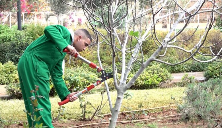 Salé: une école de jardinage forme des jeunes en situation précaire