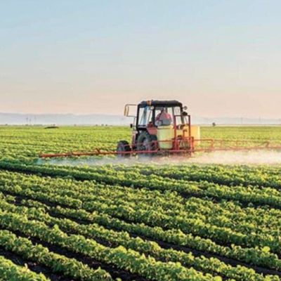 Rabat-Salé-Kénitra: Les dernières pluies ravivent les espoirs des agriculteurs