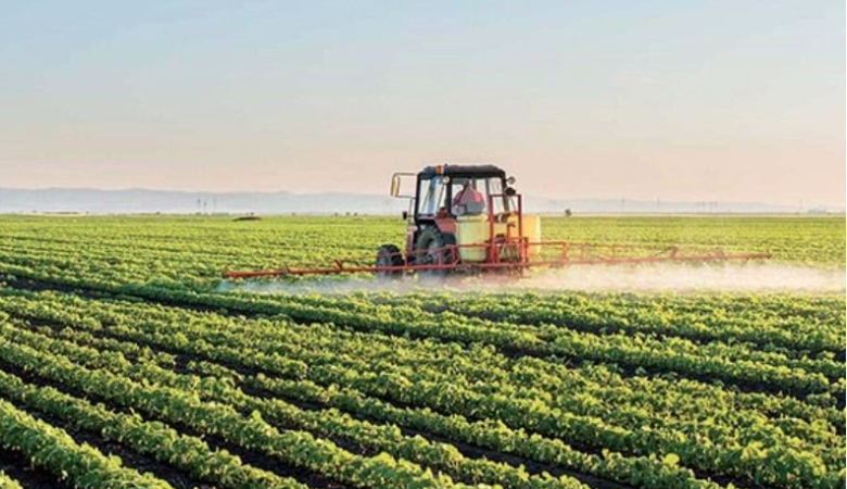 Rabat-Salé-Kénitra: Les dernières pluies ravivent les espoirs des agriculteurs