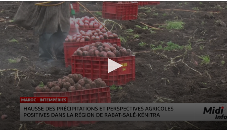 Pluies exceptionnelles à Rabat-Salé-Kénitra : un souffle pour l’agriculture
